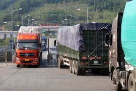 Promueven cooperación comercial entre Vietnam y provincia china de Yunnan