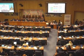 Resaltan implementación de Objetivos de Desarrollo Sostenible de Vietnam