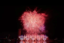 Francia e Italia entran en final del Festival Internacional de Fuegos Artificiales de Da Nang