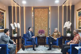 Ministerios de Relaciones Exteriores de Vietnam e Indonesia forjan cooperación