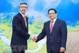 Resaltan relaciones de amistad y cooperación Vietnam-Emiratos Árabes Unidos