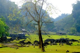 Hang tau: pueblo primitivo en la provincia vietnamita de Son La