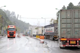 Abordan congestión de mercancías en puerta fronteriza Vietnam-China