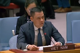 Vietnam pide a países miembros cumplir la Carta de ONU y el derecho internacional 
