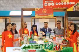 Promueven conexión comercial Vietnam-Malasia