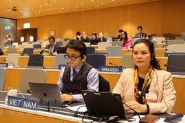 Vietnam participa en debate de derecho de autor de OMPI