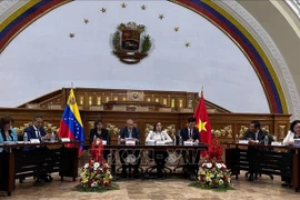 Promueven Vietnam y Venezuela cooperación en asuntos étnicos
