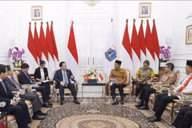 Presidente del Parlamento vietnamita exige agilizar lazos entre Hanoi y Yakarta