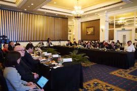 Ciudad vietnamita promueve sus imágenes entre países de Asia-Pacífico