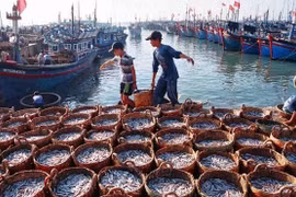 Tien Giang cumple bien recomendaciones sobre prevención de pesca ilegal