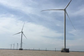 Ben Tre aspira a convertirse en líder de economía marina del Delta del Mekong