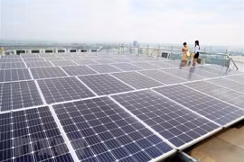 Vietnam prioriza la transición verde para el desarrollo sostenible