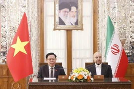 Anuncian resultados de conversaciones entre dirigentes de Vietnam e Irán a la prensa