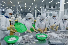 Cumbre del sector camaronero: Adaptación al cambio climático y desarrollo sostenible