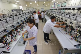 Ciudad Ho Chi Minh promueve desarrollo de ciencia, tecnología e innovación 