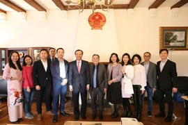 Vietnamitas en Dinamarca y Alemania celebran Año Nuevo Lunar