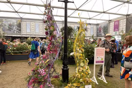 Vietnam gana premio por primera vez en Exhibición Floral de Chelsea 2023