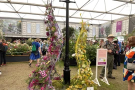 Vietnam gana premio por primera vez en Exhibición Floral de Chelsea 2023