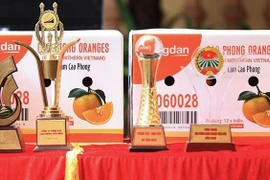 Exportan primer lote de naranjas Cao Phong al Reino Unido 