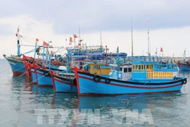 Vietnam aplica severas sanciones para combatir IUU
