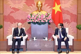 Vicepresidente del Parlamento recibe al gobernador de prefectura japonesa de Tochigi