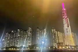 BAD prioriza a Vietnam en marco de estrategia de asociación nacional