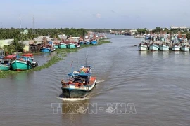 Vietnam se esfuerza por levantar advertencia de "tarjeta amarilla”