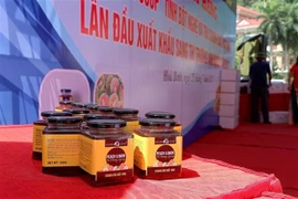 Provincia vietnamita exporta productos agrícolas a Reino Unido