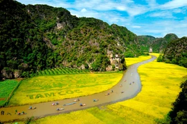 Suspenden de manera temporal actividades turísticas en Tam Coc-Bich Dong