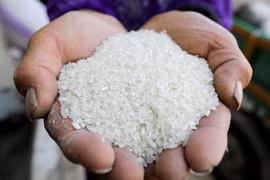 Indonesia proporcionará ayudas con arroz a 22 millones de hogares en 2024