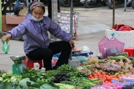 Hanoi registra aumento leve de IPC