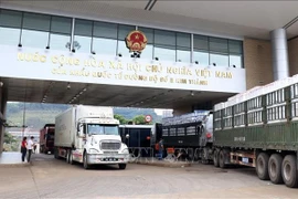Instan a tomar medidas para promover exportación de productos agrícolas
