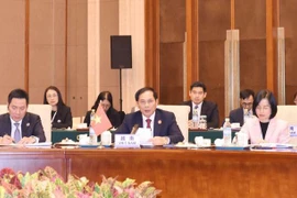 Vietnam ofrece propuestas para cooperación Mekong-Lancang