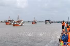 Mejora conciencia de pescadores de Bac Lieu sobre la aplicación de la ley
