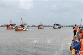 Mejora conciencia de pescadores de Bac Lieu sobre la aplicación de la ley