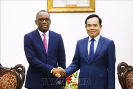 Vietnam atesora la tradicional amistad con Benín, afirma vicepremier
