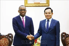 Vietnam atesora la tradicional amistad con Benín, afirma vicepremier