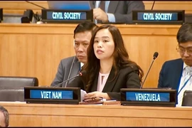 Vietnam enfatiza que marco global de gestión de municiones debe ser conforme al derecho internacional