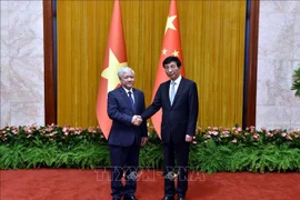 Presidente de Frente de la Patria de Vietnam conversa con dirigente chino