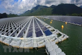 Empresas europeas buscan invertir en desarrollo económico verde en Vietnam
