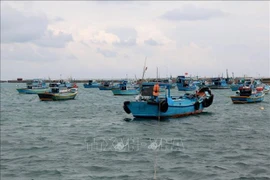 Provincia centrovietnamita de Binh Thuan se moviliza para poner fin a la pesca ilegal