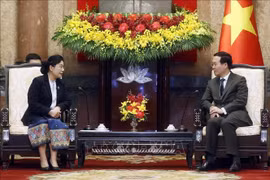 Presidente de Vietnam recibe a titular del Tribunal Popular Supremo de Laos