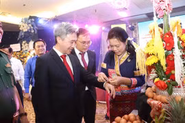 Celebran en provincia vietnamita Festival tradicional de Año Nuevo de Camboya, Laos y Tailandia