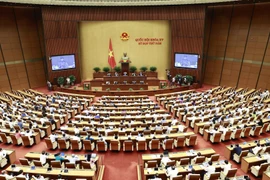 Parlamento vietnamita interpela sobre asuntos de ciencia-tecnología y transporte
