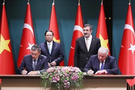 Vietnam Airlines y Turkish Airlines amplían cooperación en transporte de carga