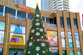 Árbol de navidad “hace realidad los sueños” 