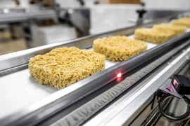 Flexibiliza UE normas aplicadas a fideos instantáneos de Vietnam