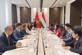 Vietnam, un socio prioritario en la política "hacia el Este" de Hungría