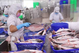 Más de 90 por ciento del pescado Tra vendido en Estados Unidos proviene de Vietnam 