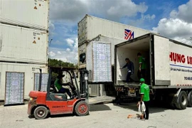 Vietnam exporta primer lote de néctar de coco a EE.UU.